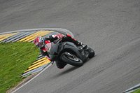 2026 No Limits Trackday Galleries